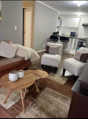 Departamento valdivia